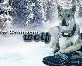 美国大臿焦香焦大视频-亚洲av欧洲av