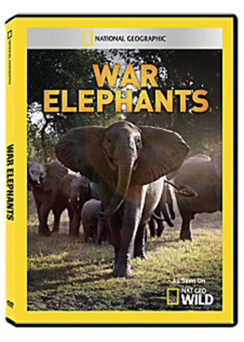 美国恐怖故事：启示录第八季